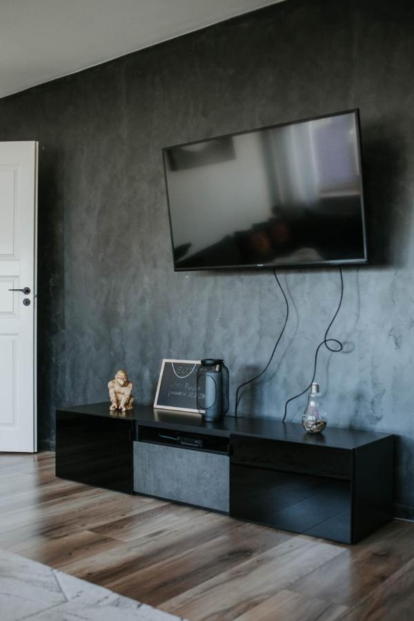 Pinska Guesthouse Cozy Apartment Вилянди Екстериор снимка
